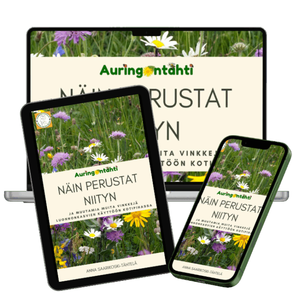 Näin perustat niityn e-kirja