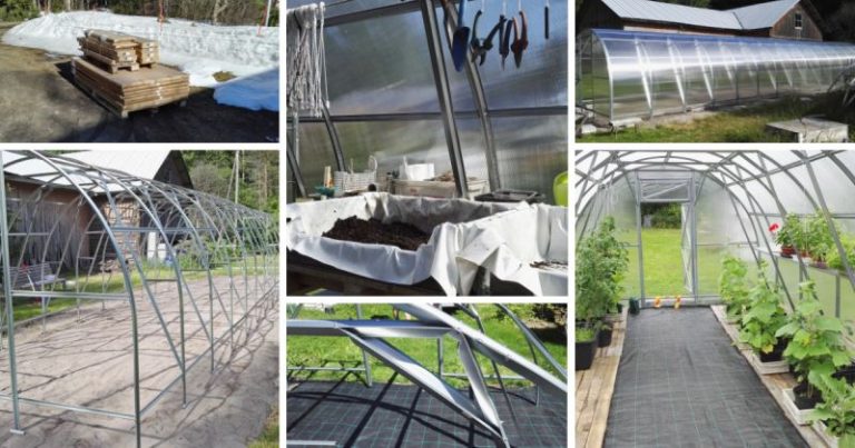 Strong kasvihuoneen pystytys