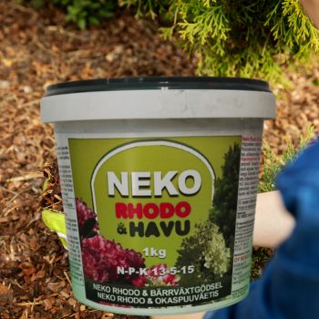 Neko Rhodo & Havulannoite