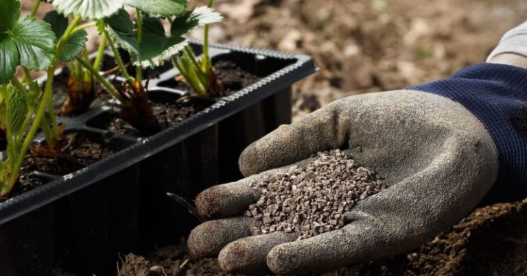 Puutarhan lannoittamisen ABC