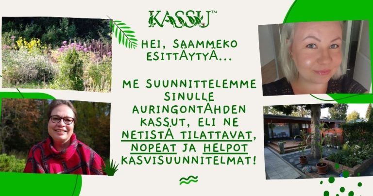 OmaKassu kasvisuunnitelman suunnittelijoiden esittely