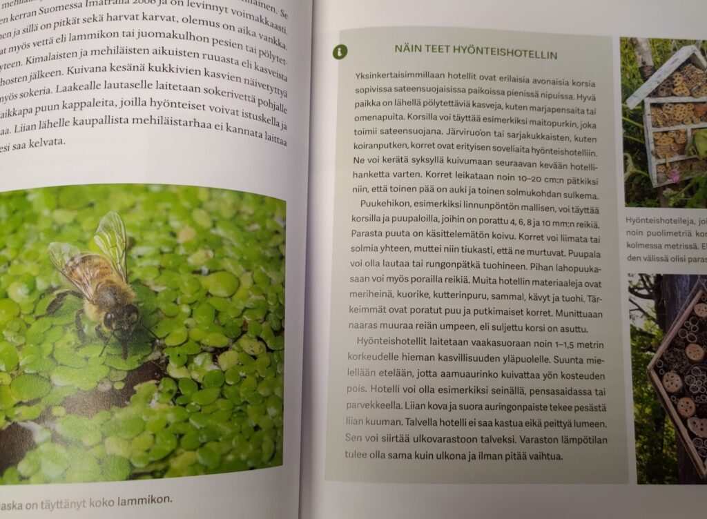 monimuotoisuutta puutarhaan hyönteishotellilla