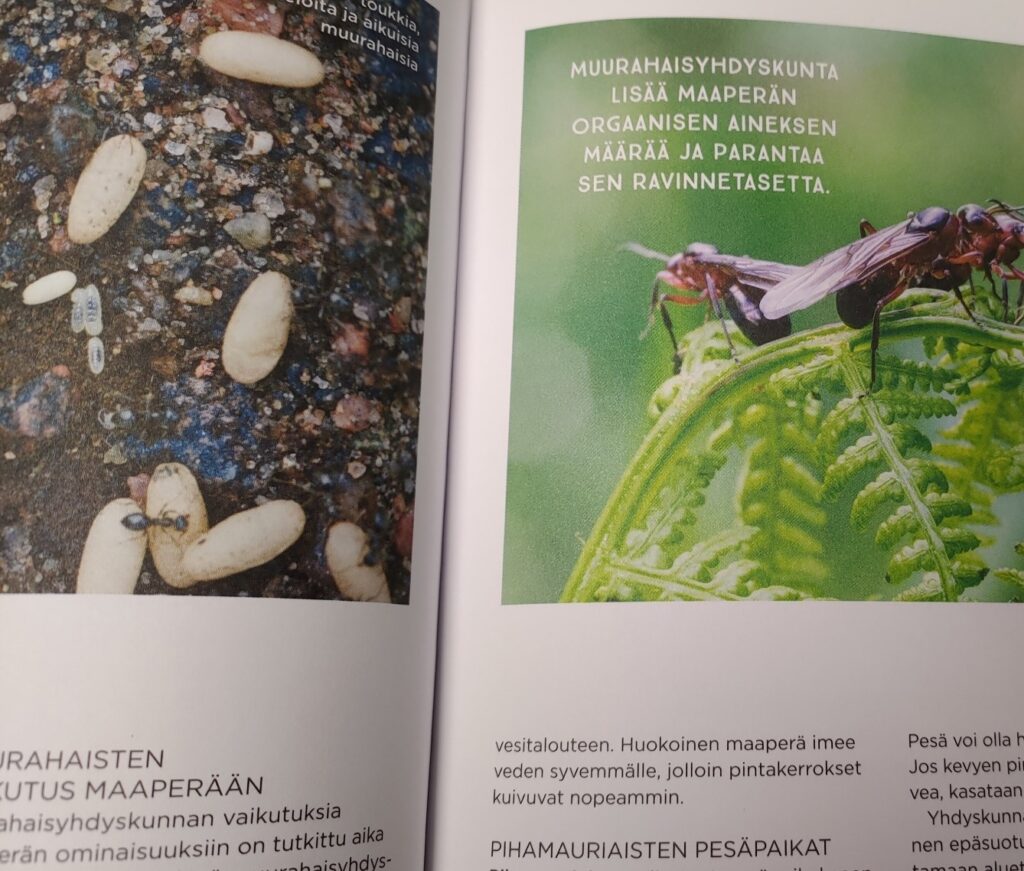 puutarhan parhaaksi ötökkätietoa