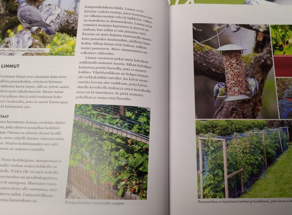 tuholaisten ja rikkojen torjunta ohjeet