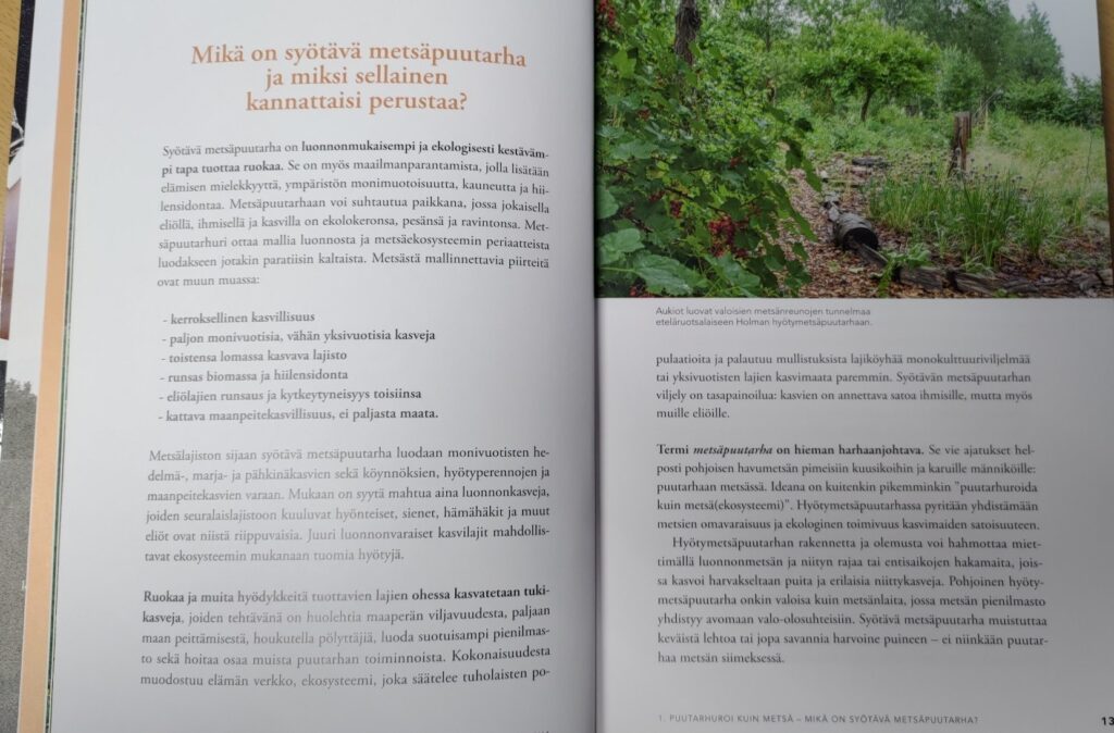 hyötyviljely metsäpuutarhassa kannattaa