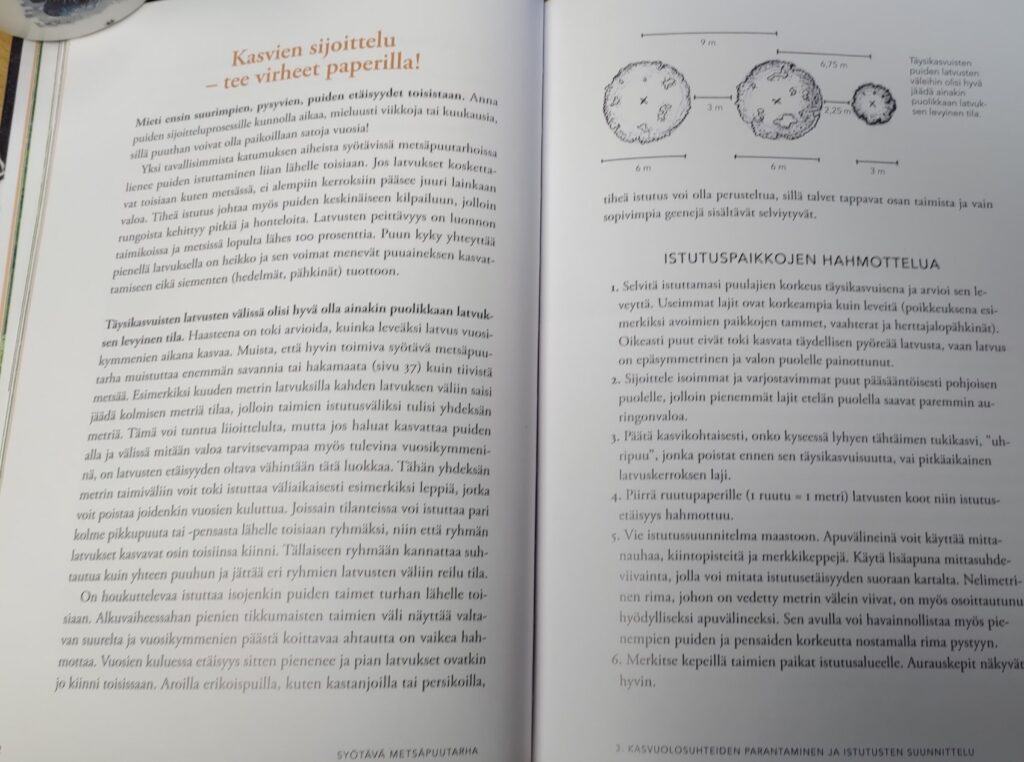 hyötyviljely metsäpuutarhassa suunnittelu
