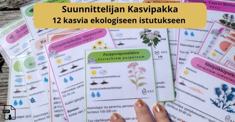 Kasvien valinta pihaan ei ole koskaan ollut näin helppoa – tutustu Kasvipakkoihin