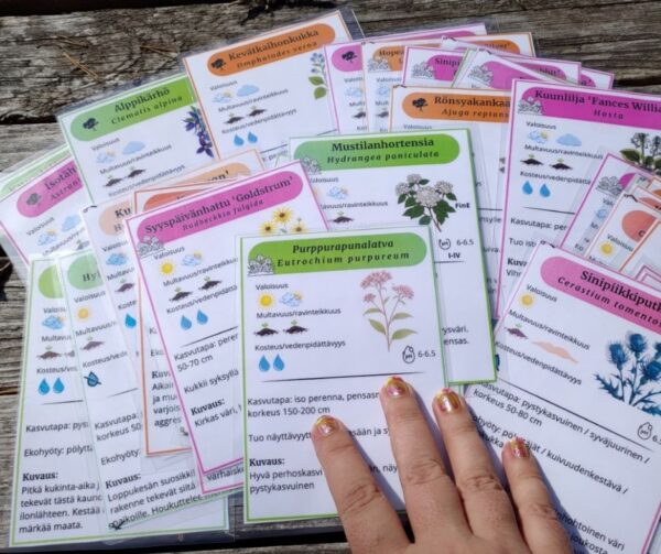 Kasvipakat helpottavat kasvivalintoja