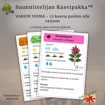 Suunnittelijan Kasvipakka: Varjon voima