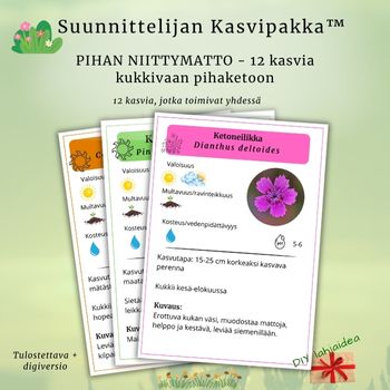 Suunnittelijan Kasvipakka™: Pihan Niittymatto