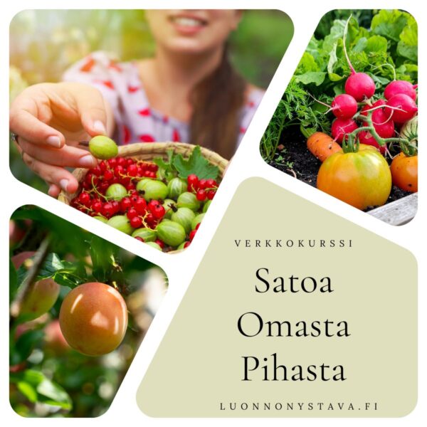 Satoa omalta pihalta – helposti luonnon ehdoilla