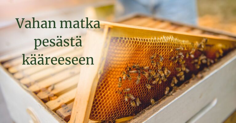 Mehiläisvahan matka pesästä paperikääreeseen
