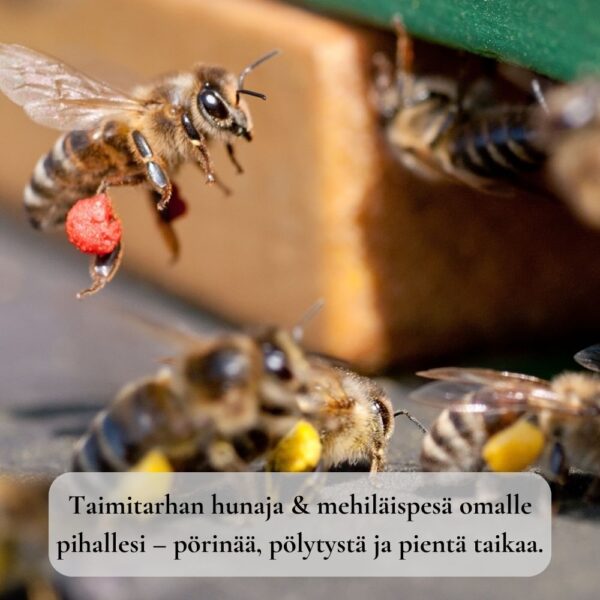 Hunaja ja muut mehiläistuotteet