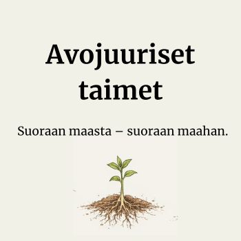 Avojuuriset taimet