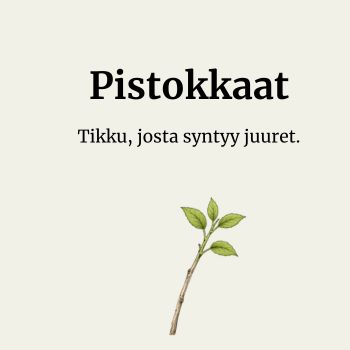 Pistokkaat