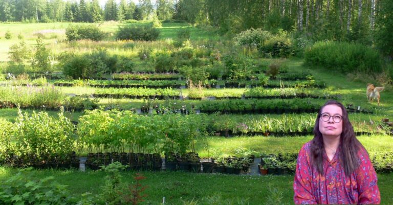 Miksi emme enää jatka entiseen tapaan?