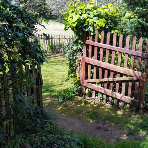 Taimet – osa elävää ekosysteemiä