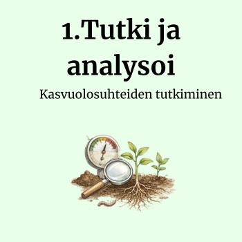 Tutki ja analysoi