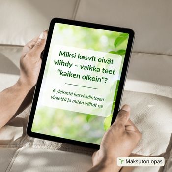 6 virhettä pihan kasvivalinnoissa