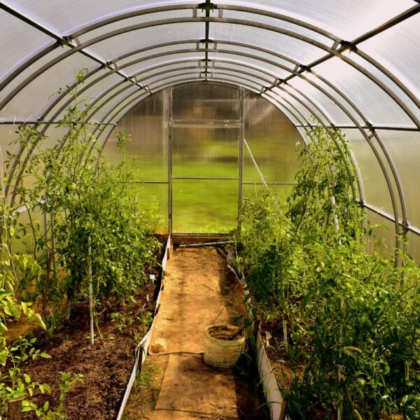 Kasvihuoneet lisävarusteineen